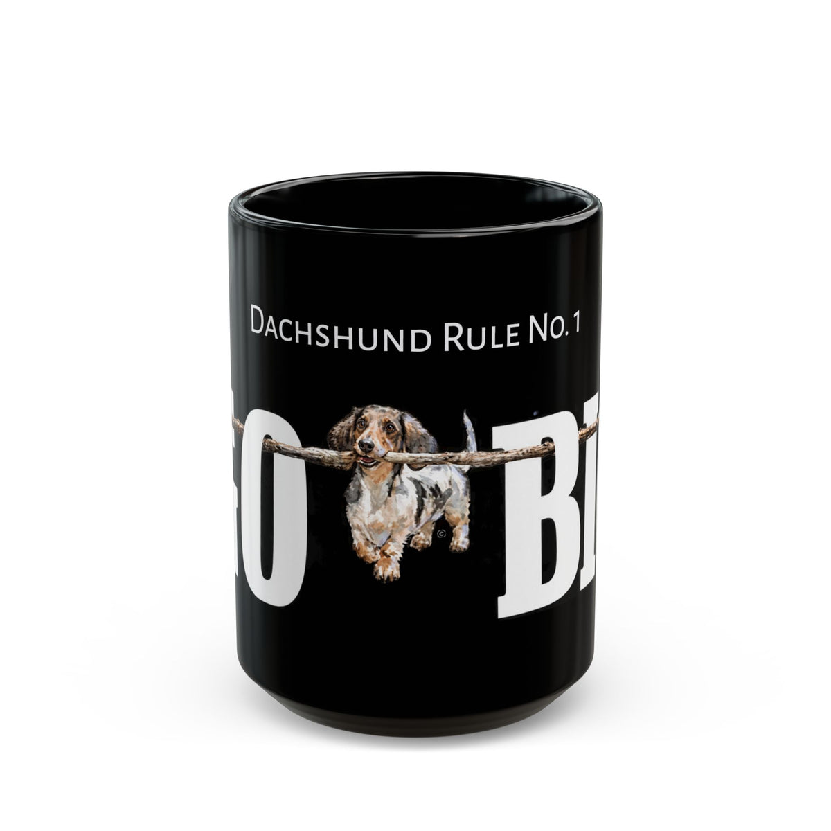 RULE No. 1 GO BIG. Sleek Black Mug 15oz